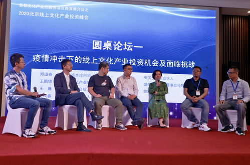 首都文化产业投融资项目路演推介会暨2020北京线上文化产业投资峰会成功举办