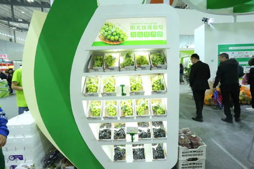 绿叶水果参展第十六届中国国际农产品交易会暨第二十届中国中部 湖南 农业博览会