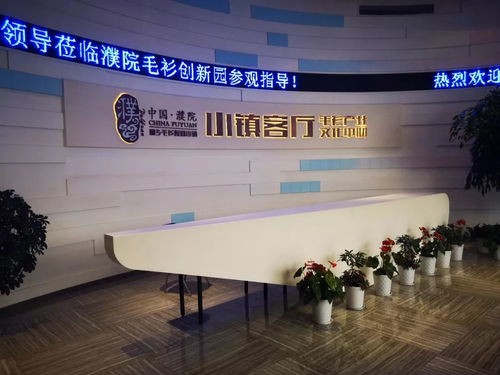 长兴县文化产业考察组赴桐乡进行考察学习活动