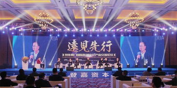 2018年厦门国际影视文化产业交流论坛顺利举行