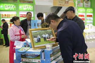 宁波巧用 文化 点金术 跨界融合助力经济转型